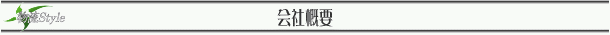 �����X�^�C��LLP�̉�ЊT�v